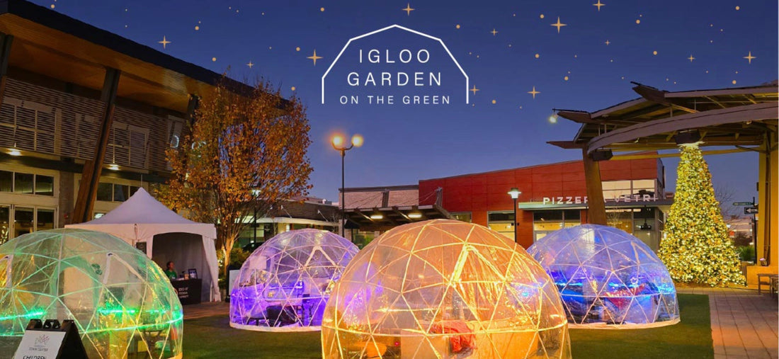 Igloo Garden on the Green Nov 4th - 18th - The Artful