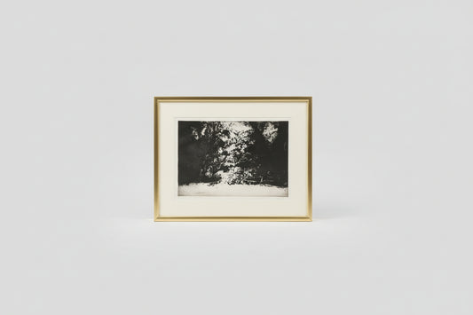 Framed etching artwork displayed on a shelf with a black and white image of tree branches.