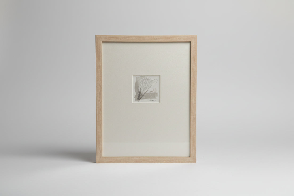 Terrain Moments Series - DVO - 1120 - The Artful