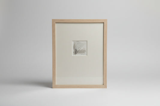 Terrain Moments Series - DVO - 1120 - The Artful